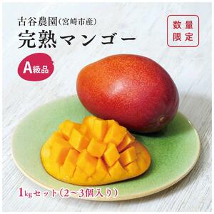 A級品 古谷農園 宮崎完熟マンゴー 1kg (2〜3個入り) 旬 トロピカル フルーツ 果物 宮崎県産 化粧箱入り