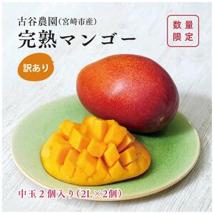 訳あり 古谷農園 宮崎完熟マンゴー B級品 2L×2個 ご家庭用 旬 トロピカル フルーツ 果物 宮崎県産