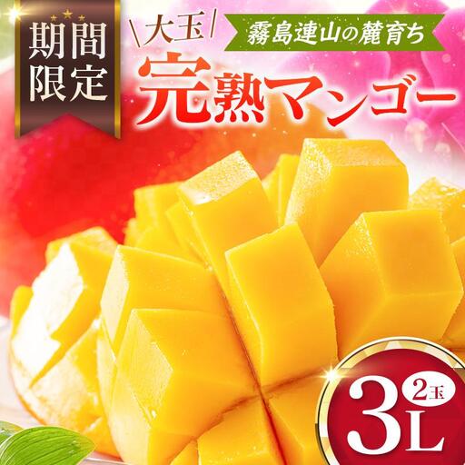 宮崎 樹上完熟 マンゴー 3Lサイズ×2玉 霧島連山の麓育ち 宮崎県産 トロピカル フルーツ お取り寄せ 果物 旬