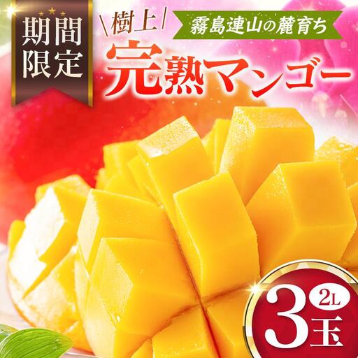 宮崎 樹上完熟 マンゴー 2Lサイズ×3玉 霧島連山の麓育ち 宮崎県産 トロピカル フルーツ お取り寄せ 果物 旬