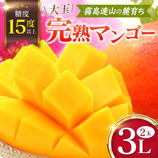 《甘い!!糖度15度以上》 宮崎 樹上完熟 マンゴー 3Lサイズ×2玉 霧島連山の麓育ち 宮崎県産 トロピカル フルーツ お取り寄せ 果物 旬
