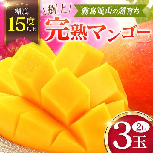 [甘い!!糖度15度以上] 宮崎 樹上完熟 マンゴー 2Lサイズ×3玉 霧島連山の麓育ち 宮崎県産 トロピカル フルーツ お取り寄せ 果物 旬