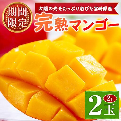 宮崎県産 完熟マンゴー 2Lサイズ×2玉(1玉350〜459g) 宮崎 トロピカル フルーツ お取り寄せ 果物 旬