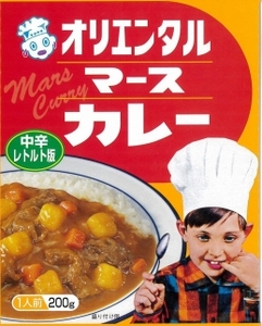 ☆オリエンタルなつかしのカレー＆ハヤシセット（3種類9個+オリジナルスプーン付）