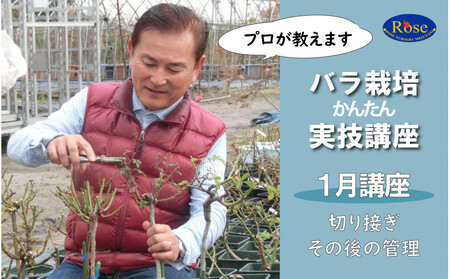 プロが教えるバラ栽培実技講座[1月:切り接ぎ・その後の管理]