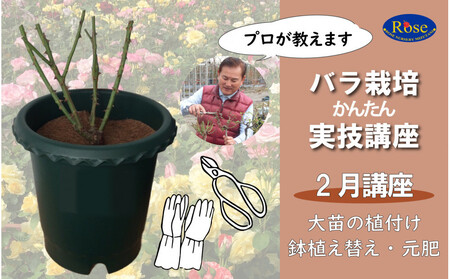 プロが教えるバラ栽培実技講座[2月:大苗の植付け・鉢植え替え・元肥]