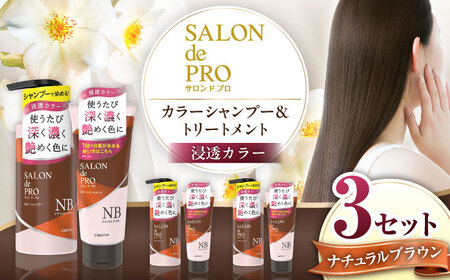ダリヤ サロンドプロ カラーシャンプー・トリートメント 各3個セット【ナチュラルブラウン】 / 稲沢市 / 日興商事株式会社 [BMBK005-01]