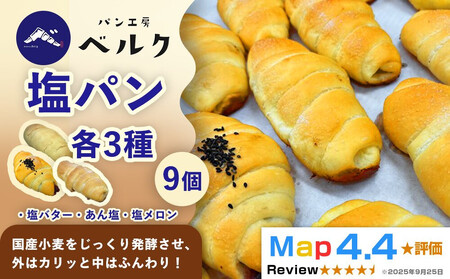 [ベルクの塩パンを全種類堪能]塩パン全種食べ比べセット計9個