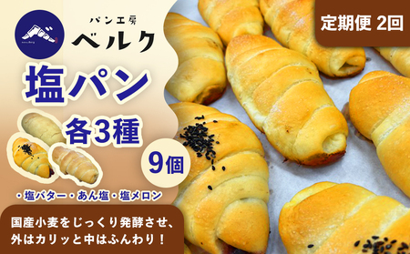 [2回定期便]塩パン全種食べ比べ 9個セット / 塩パン あん塩 メロンパン 食べ比べ 惣菜パン パンセット 冷凍パン 朝食 おやつ ぱん 菓子パン ベーカリー / 稲沢市 / パン工房ベルク[BMAF037]