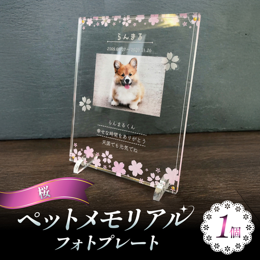 ペットメモリアルフォトプレート[桜] / 思い出 ペット アクリルスタンド / 稲沢市 / Savoia[BMAN003-07]