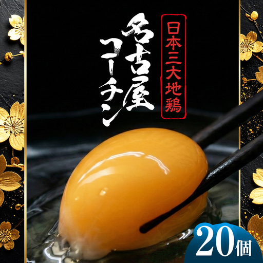 名古屋コーチン 卵 20個(18個+割れ保証2個)[化粧箱入り]/ 卵 たまご 鶏卵 高級卵 / 稲沢市 / 櫛田養鶏場[BMAY006]