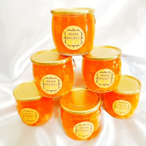 [東海市推奨品]宮田農園の高級みかんゼリー 6個入