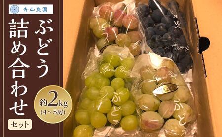 ys\zyʌz Ԃǂ lߍ킹Zbg 2kg k2026N8{菇l