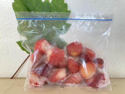 冷凍 いちご 1.2kg 400g × 3袋 いちご