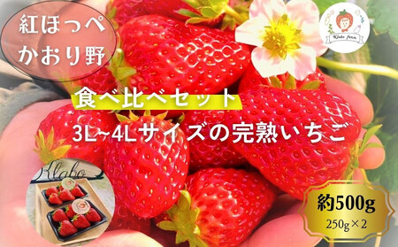 ys\EʌzypE3L~4L嗱EHהׁzgق؁Zbg500gîꊮn 250g×2Pj
