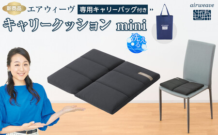 エアウィーヴ キャリークッションmini