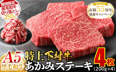 yԌz{YA5јa゠݃Xe[L@4800g { ؂藎Ƃ250t