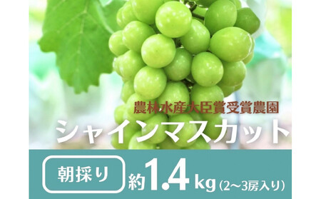 ys\2026N8z{sY@VC}XJbg1.4kg(2`3[j
