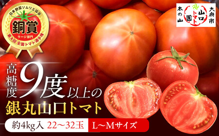 ys\ 2026N2`5oח\^50zSg}gI茠܎܃g}gwێRg}gxxg}g@L~MTCY