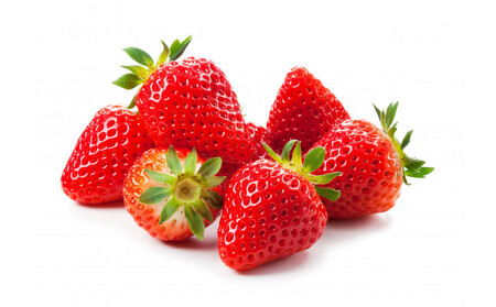 2025�N12���`2026�N4�����܂ł��͂��@�������͔|�@�������@����