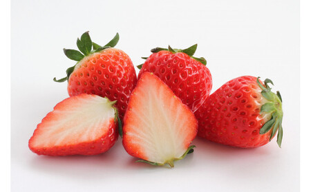 �������͔|�@�������@�͂�Ё@�y2025�N12���`2026�N4�����܂ł��͂��z