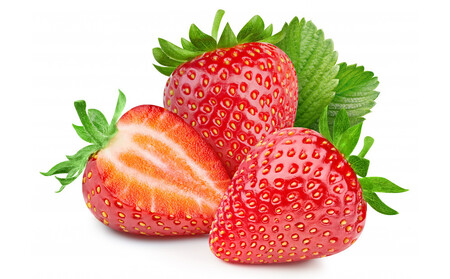 �������͔|�@�������@��߂̂��@�y2025�N12���`2026�N4�����܂ł��͂��z