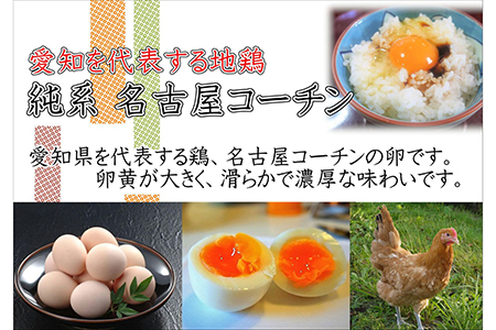 日本三大地鶏！！　本当に美味しい食べ物は調味料の味に負けません！「純系　名古屋コーチンの卵」（30個）