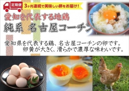 【3か月定期便】日本三大地鶏！！「純系　名古屋コーチンの卵」（30個）