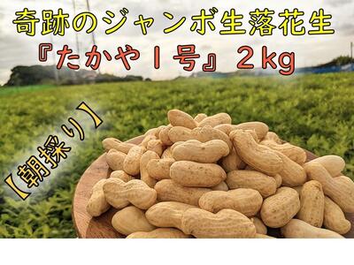 10蔭ŷzVEՂ̃W{ԐuPvQkg