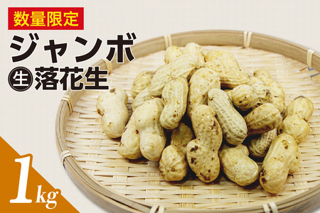 ys\zy9{珇zW{Ԑ 1kg 嗱 Ԑ s[ibc s[ic n n   ܂  r[