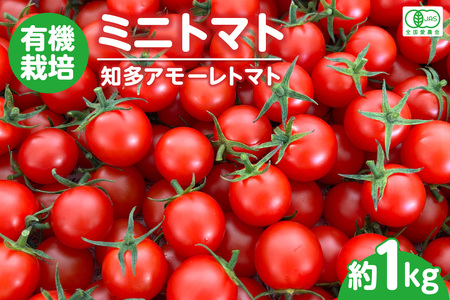 有機栽培ミニトマト　知多アモーレトマト　約1kg
