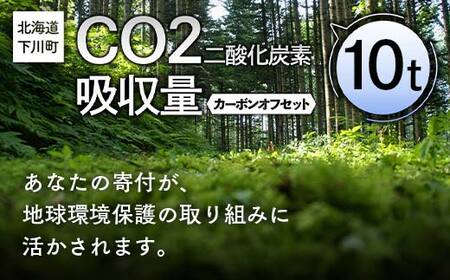 CO2(二酸化炭素)吸収量 10t カーボンオフセット 故郷 ふるさと 納税 北海道 下川町