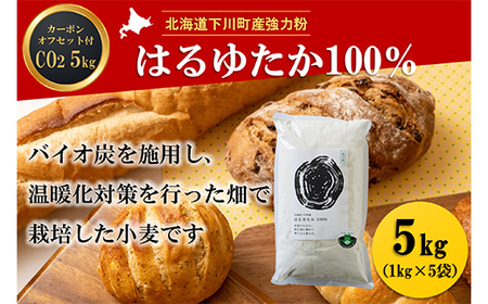 北海道下川町産強力粉はるゆたか100% 5kg バイオ炭施用 カーボン・オフセット付 F4G-0197