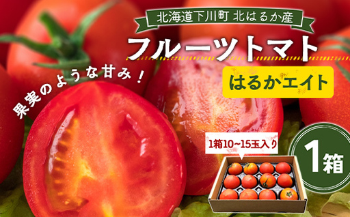 【先行予約】令和8年産 フルーツトマト はるかエイト 1箱 トマト F4G-0347