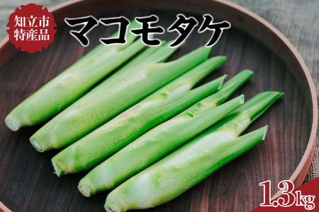知立市特産 マコモタケ1.3kg[10月発送]お料理レシピ付(1250)