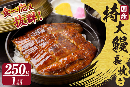 国産特大うなぎ長焼き1尾(約250g)(1662)