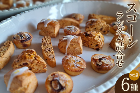 y11`SzzXR[U탉_liOet[܂ށji2035j