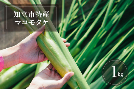 知立市特産 マコモタケ(1kg) (6〜8本)(2158)