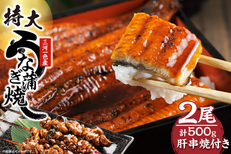 [土用の丑の日対応 一の丑7/6(日)入金まで二の丑7/21(月)入金まで]三河一色産 最高級うなぎセット 特大2尾(蒲焼2尾)計500g(冷蔵配送)(2331)