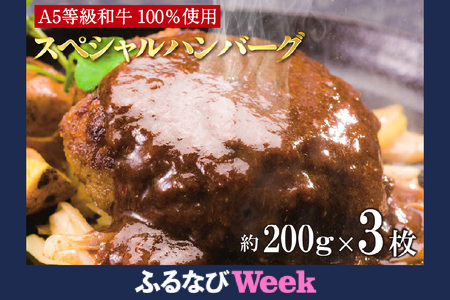 [ふるなびWEEK対象]A5等級和牛100% 肉や大善スペシャルハンバーグ FN-Limited(2339)