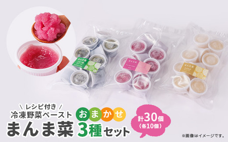 まんま菜 冷凍野菜ペーストおまかせ3種セット[配送不可地域:離島]