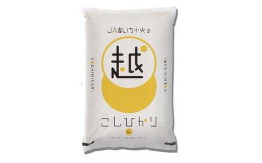愛知県産 コシヒカリ5kg_13-259-1