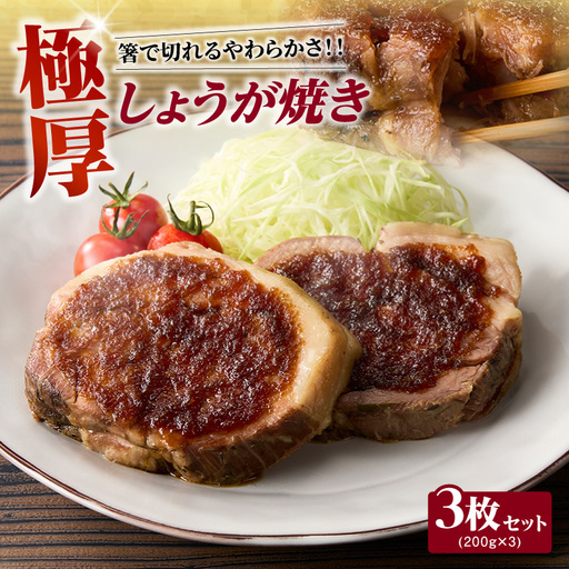 極厚しょうが焼き　３枚セット_49-240-1
