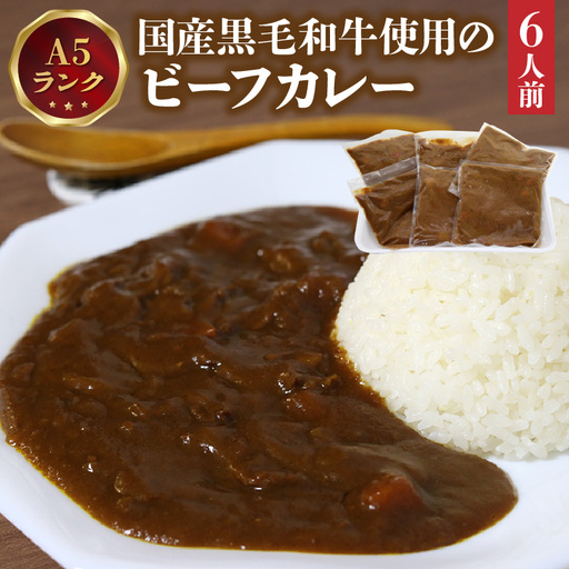A5ランク国産黒毛和牛使用のビーフカレー(6人前)_19-174-1