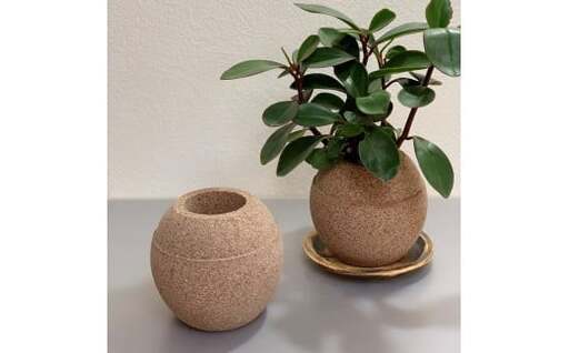 アクアプラントポットHACHI「玉(ギョク)」茶_33-115-1-1