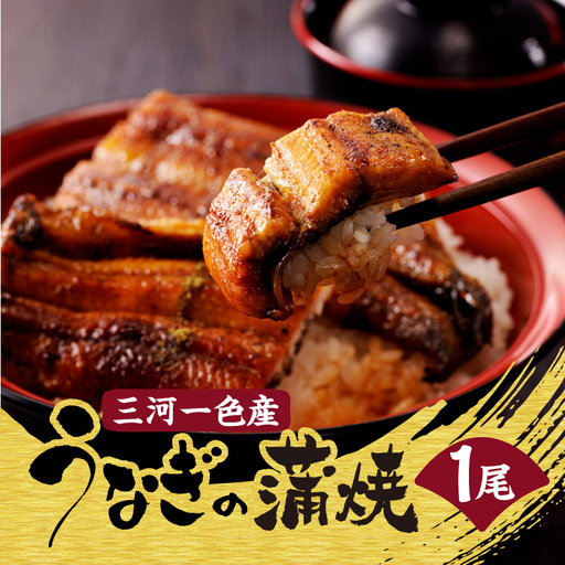 [土用の丑の日までにお届け]三河一色産うなぎの蒲焼1尾_47-179-1-d