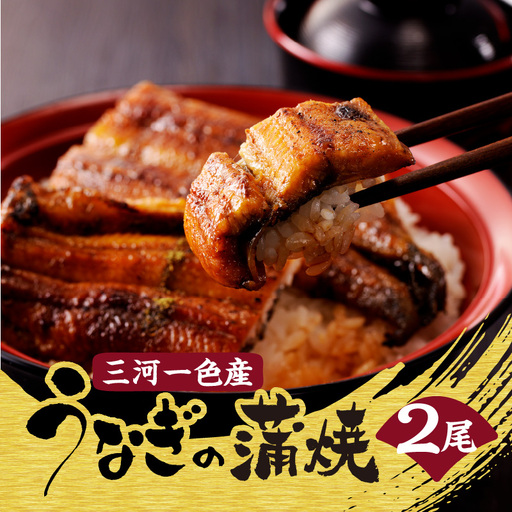 【土用の丑の日までにお届け】三河一色産うなぎの蒲焼２尾_47-318-1-d