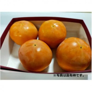 H̖o@Ƃ悠̕xL`@7.5kg(`28`32O)y1533484z