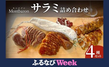[ふるなびWEEK対象]サラミ 4種 セット ゴシック シャルキュトリー ソーセージ ウィンナー ウインナー 燻製 詰め合わせ ギフト 贈答 贈答品 肉 お肉 豚肉 豚 ポーク 熟成肉 加工食品 加工品 白カビ おつまみ 酒のつまみ 愛知県 日進市