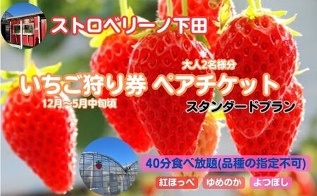 Xgx[mc茔2liX^_[hvj ̌`Pbg `Pbg